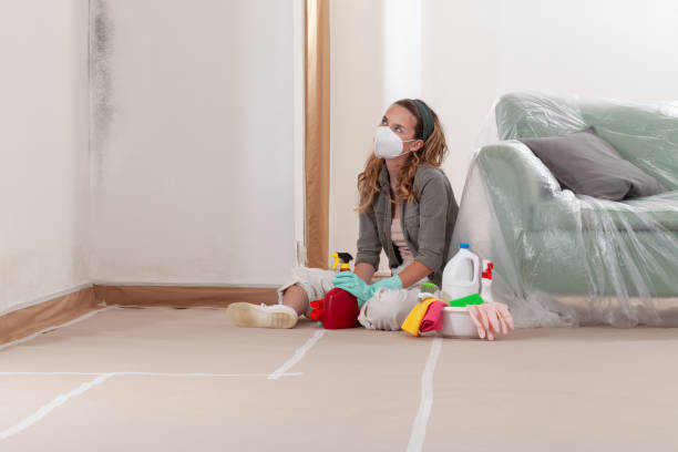 Reliable Bathroom Mold Removal contractor in Royal Oak, MI by Mold Remediation HQ